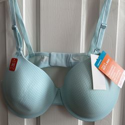 Warner’s Bra