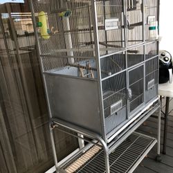 Jaula , Cage 