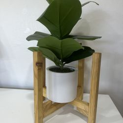 Wood Plant Holder 