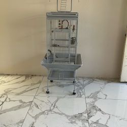 Bird  Cage