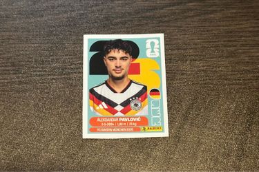 Pavlovich panini sticker