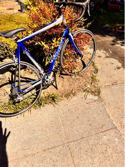Mens trek alpha racing road bike