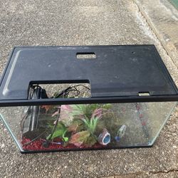 10 Gallon Fish Tank 