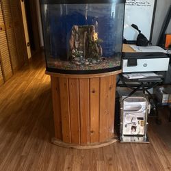 Fish Tank And Stand