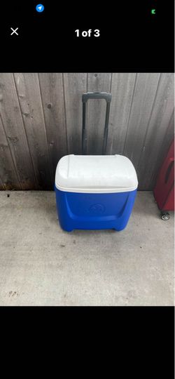 Cooler