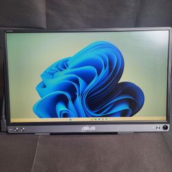 ASUS - ZenScreen 15.6" FHD IPS Portable Monitor (USB-C) | Gray