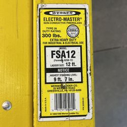 12 Foot Fiberglass Ladder - Werner FSA12
