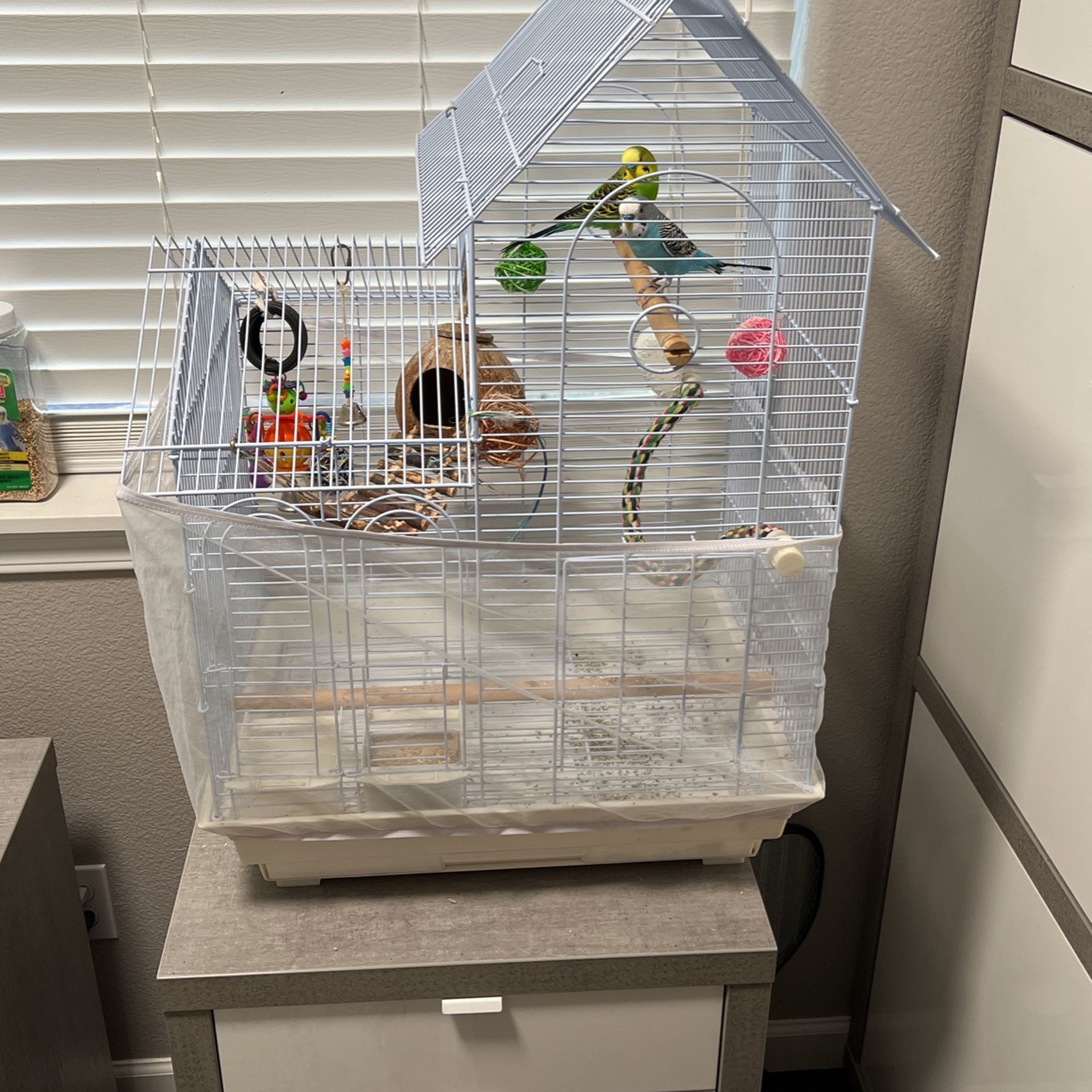 Parakeets, Cage Included