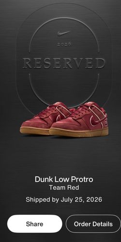 Nike dunk low Kobe team Red Sz 9
