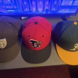 Fitted Caps