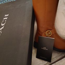 Brown Boots 
