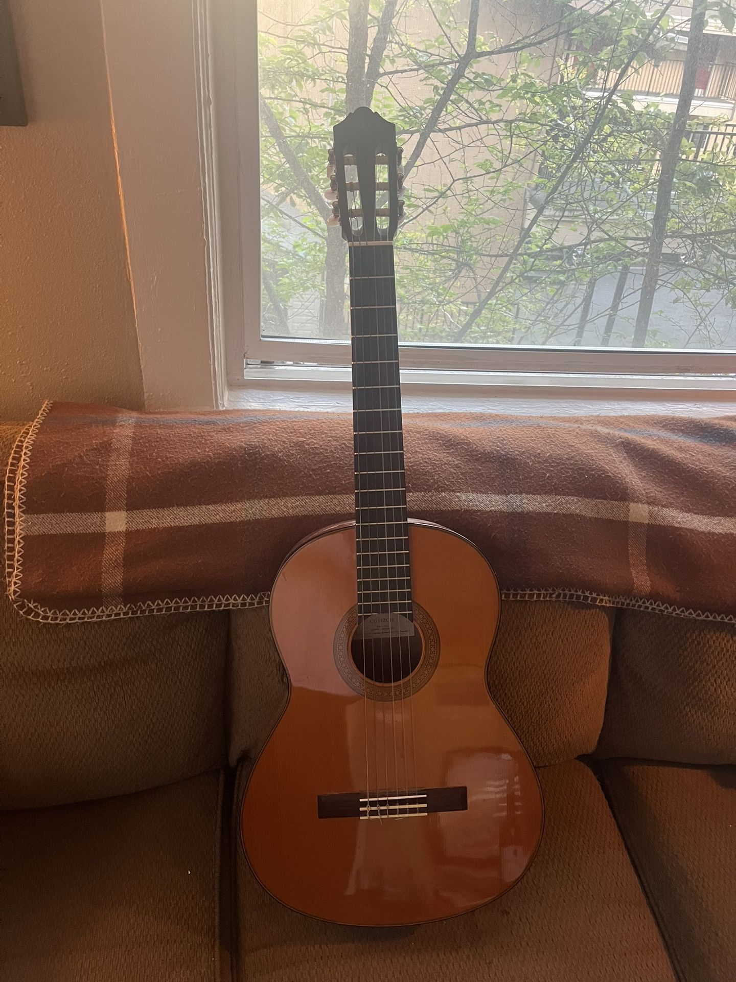 Acoustic Guitar