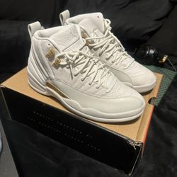 Jordan Retro 12s 8.5 Men’s 10 Women’s