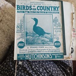  Birds of our Country