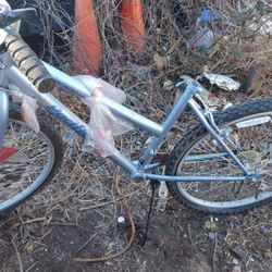 Women's Mountain Bike- 26" Pacific Regency 15-Speed