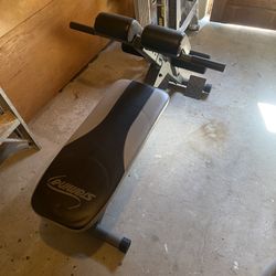 Stamina Workout Bench