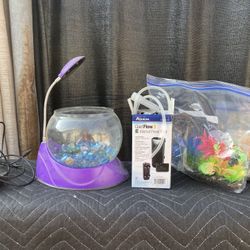 Fish Or Hermit crab Tank