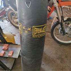 Everlast Punching Bag