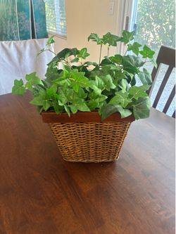 artificial plant