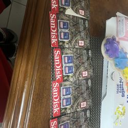 16gb SD Card