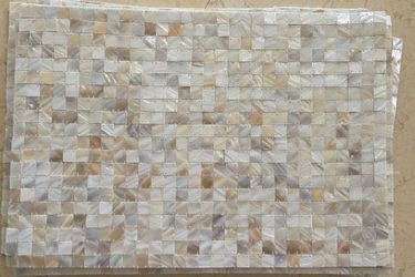 8 Mother of Pearl Placemats Z Gallerie Bonus napkin rings included