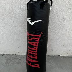 Everlast Heavy Bag with Gloves