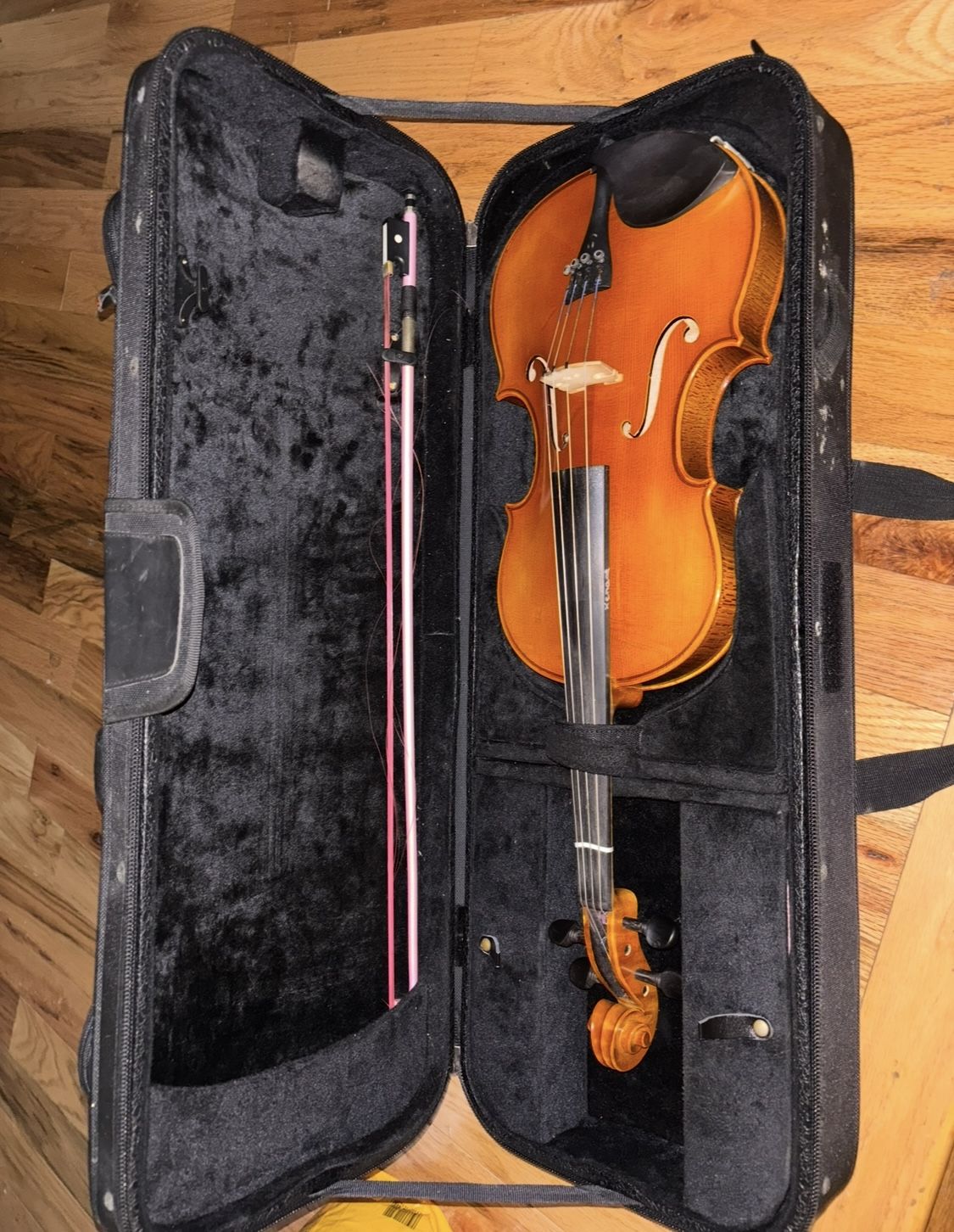 Strobel 15.5 MA 100 Viola