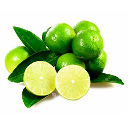 🌿 Mexican Key Lime Tree – 4–5 ft Tall 🌿$70