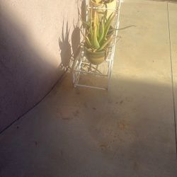 Plans With The Stand 