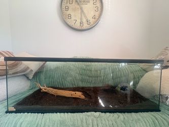 4FT REPTILE ENCLOSURE / TERRARIUM