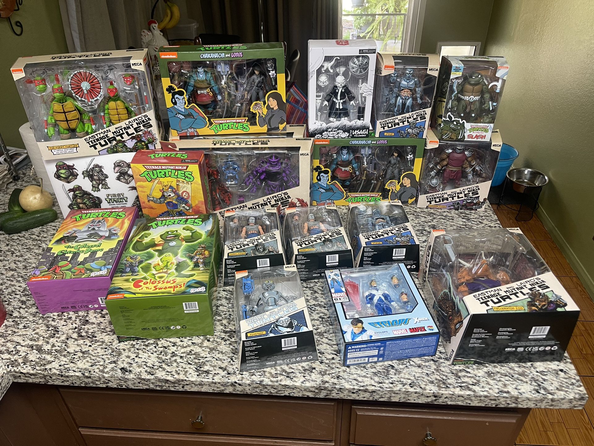 NECA Tmnt lot