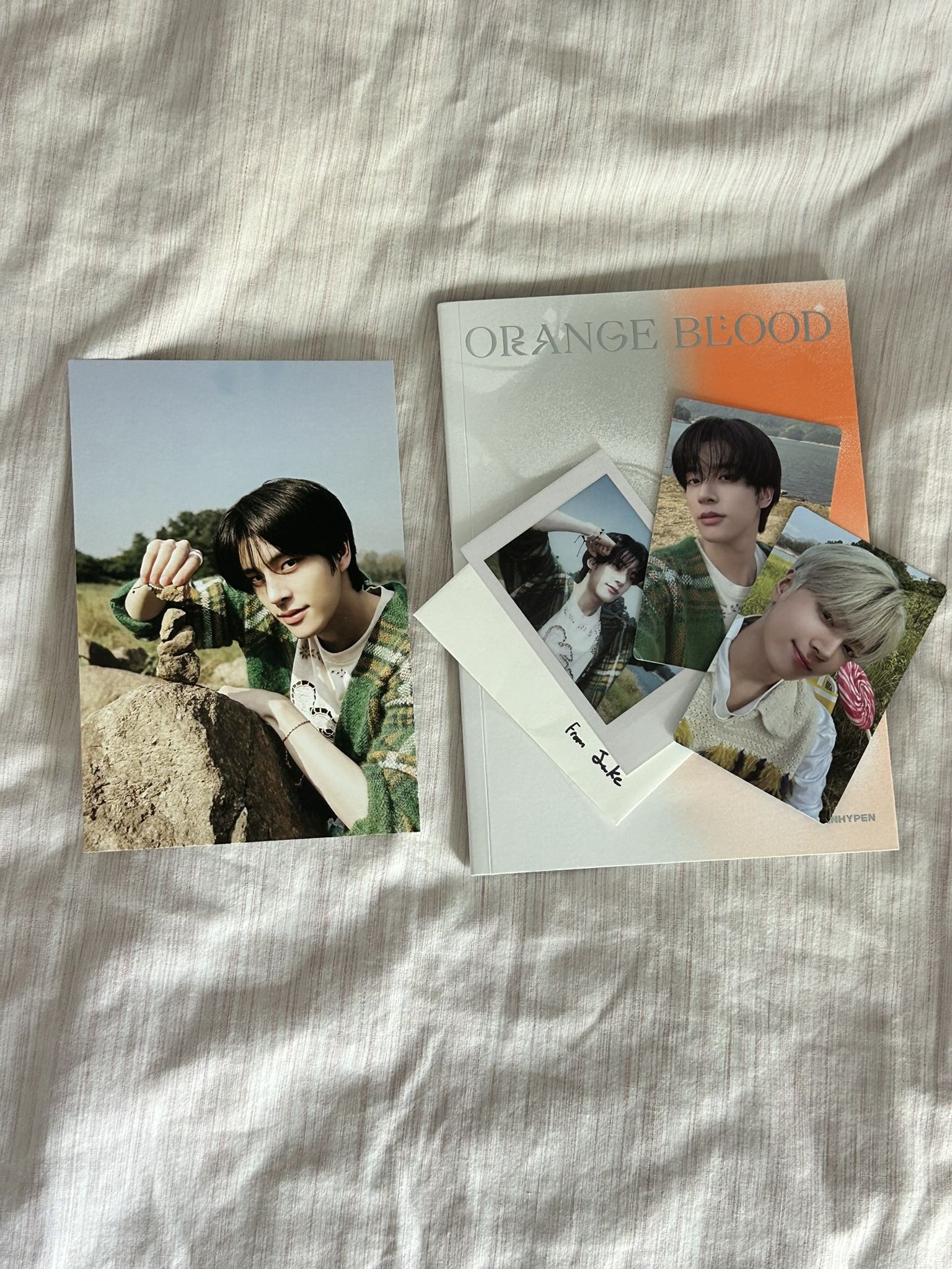 kpop enhypen orange blood (engene ver)