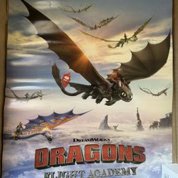 How To Train Your Dragon Poster