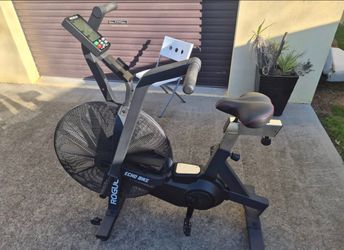 Rogue Echo Bike V3.0