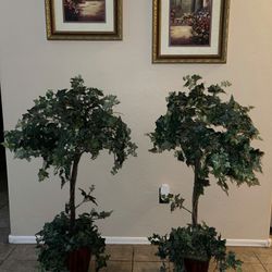 Beautiful 4ft Fake Decor Tree In Doors $100 For Set Firm PUO 