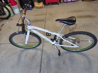 Raleigh jr bicycle