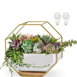 Succulent Planters 7×3.5 Inch Decorative Ceramic Flower Plant Pots with Metal Holder Hanging and Place Dual-Purpose Garden Planter Pot with Drainage a