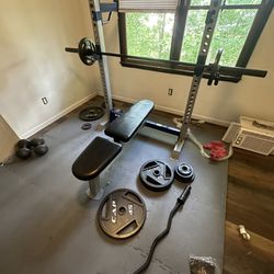 Bench Press, 300 Lb Weights, Curl Bar, Flooring