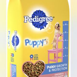 Pedigree Food 