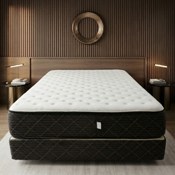 New queen mattress and box sprng 2 pc  bed frame is not included