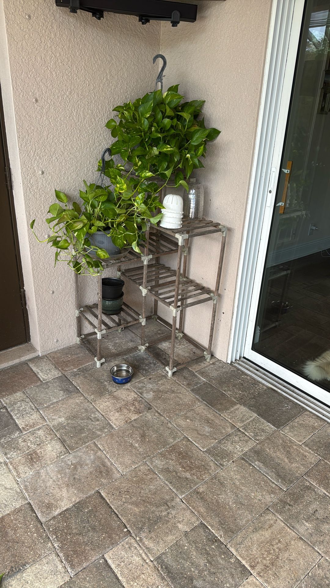 Plant Corner Shelf