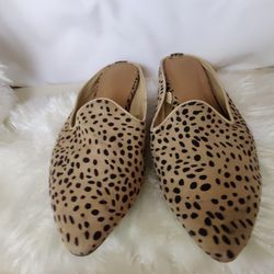 Women's Shoes Size 7 Good Condition 