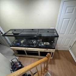 A 125 Gallons Fish Tank With It’s Homemade Stand