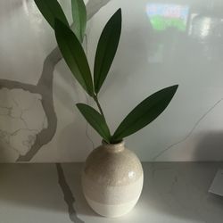 Plant Home Decor