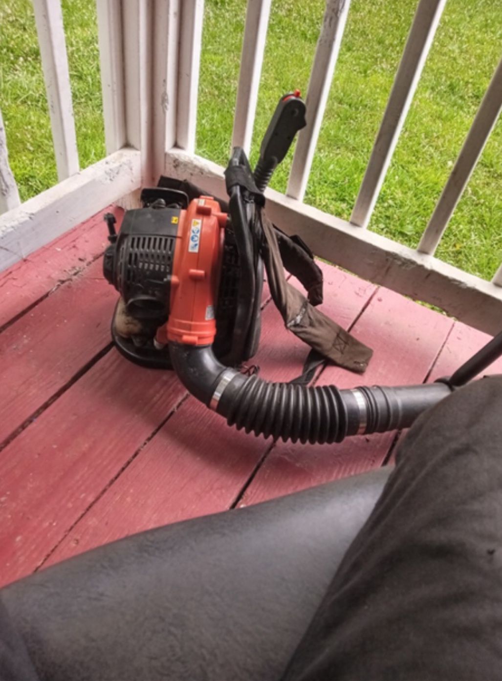 Echo Backpack Leaf Blower