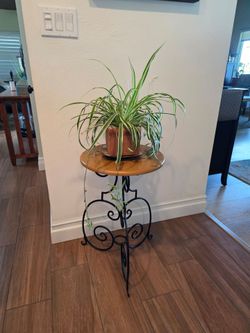 Wrought Iron and Wood Plant Stand