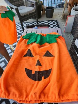 Tiny and pumpkin costume