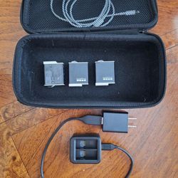 GoPro Hero 9/10/11/12 Battery Kit  3 OEM 1720mAh and Dual Charger and Case