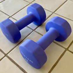 Purple Neoprene 20LB Dumbbell Hand Weights Exercise Set of 2