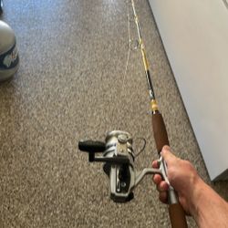 Daiwa 4000 On Chocolate Sabre 2 Piece Spinning 
